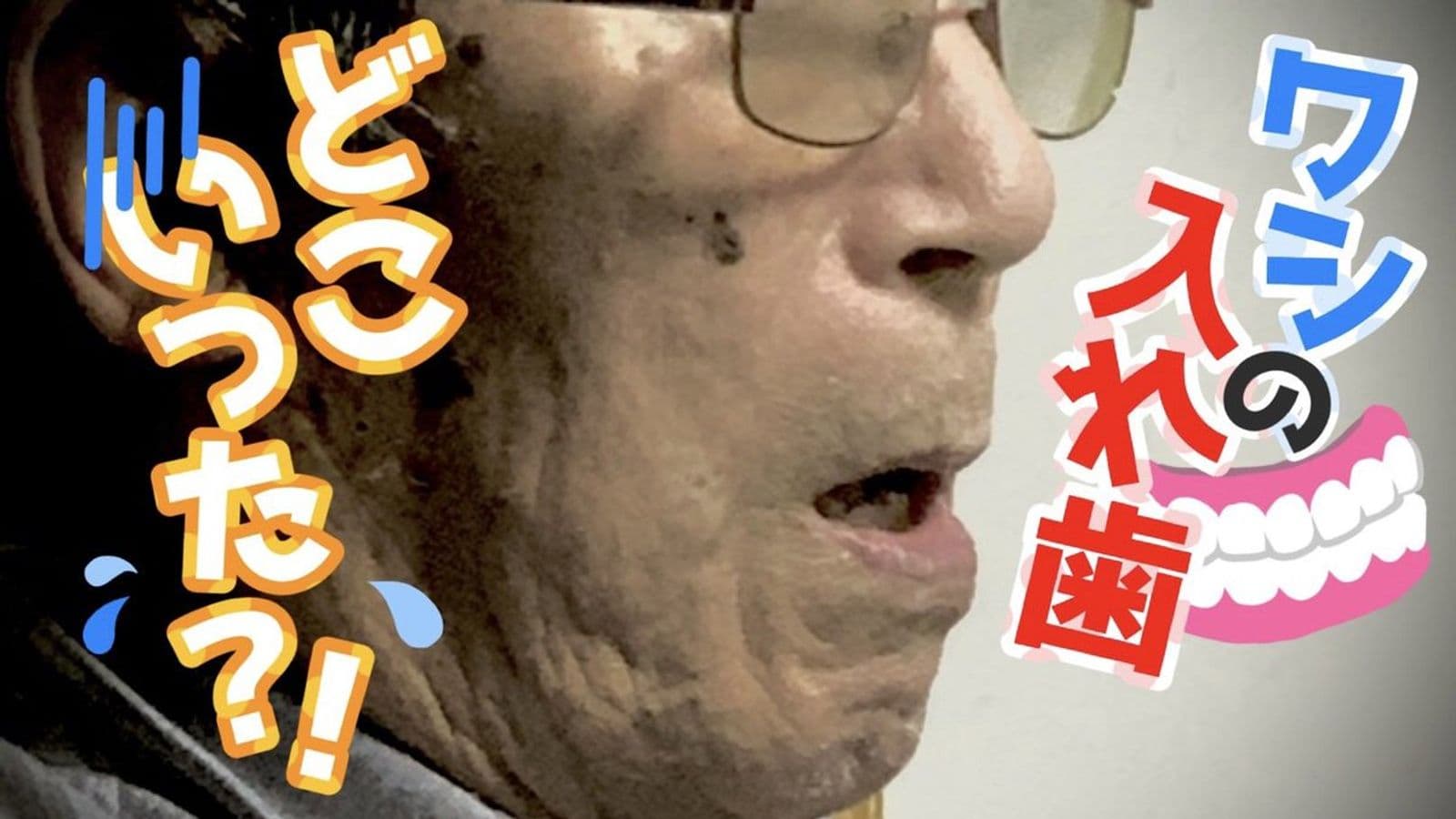 ワシの入れ歯どこいった？！