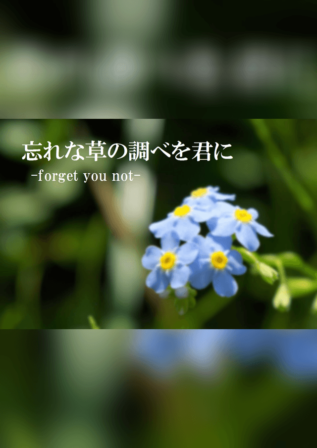 忘れな草の調べを君に