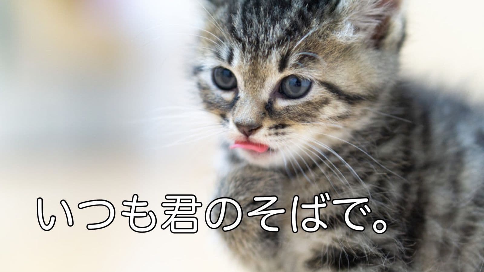 いつも君のそばで。