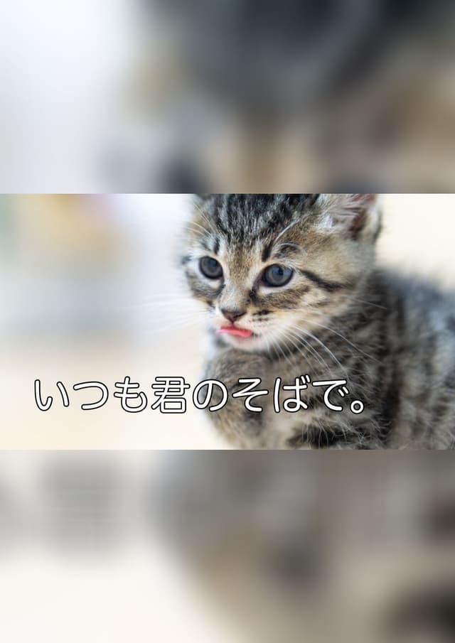 いつも君のそばで。