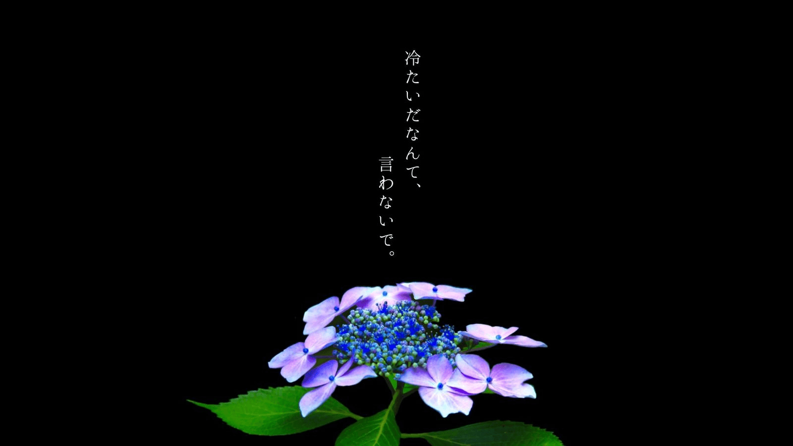 冷たいだなんて、言わないで。