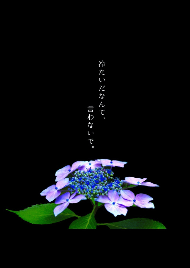 冷たいだなんて、言わないで。