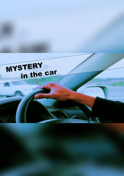 MYSTERY in the car