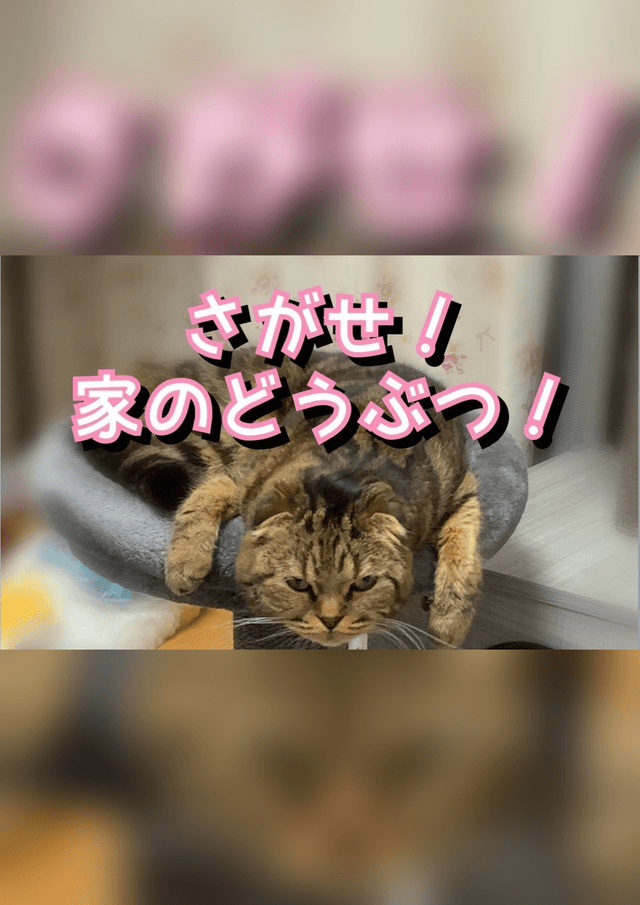 さがせ！家のどうぶつ！