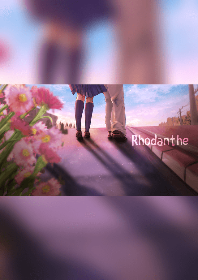 Rhodanthe