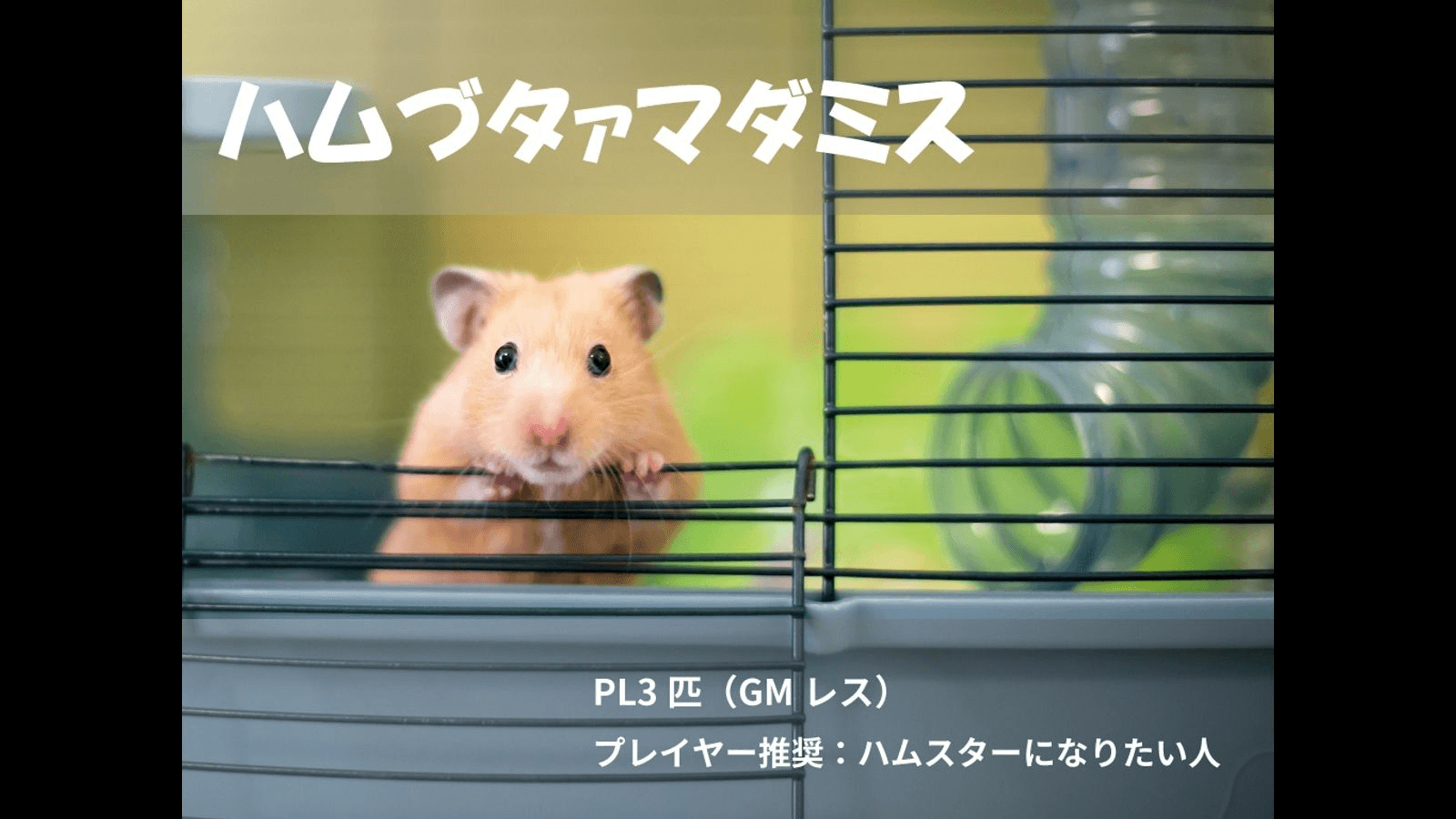 ハムづタァマダミス