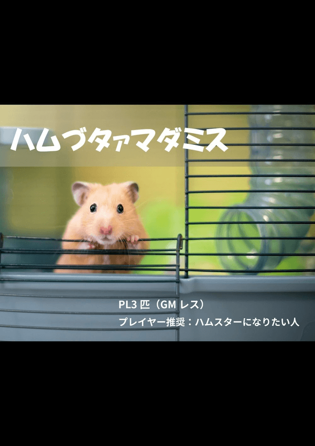 ハムづタァマダミス