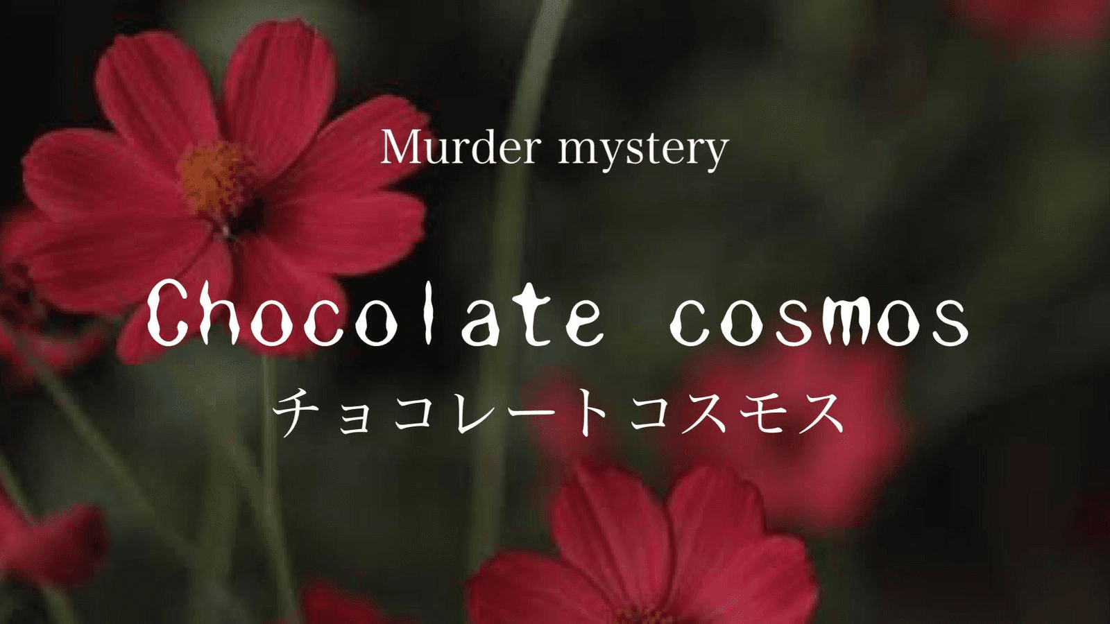 Chocolate cosmos