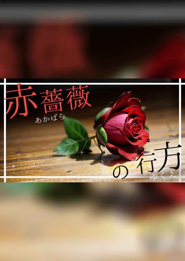 赤薔薇の行方