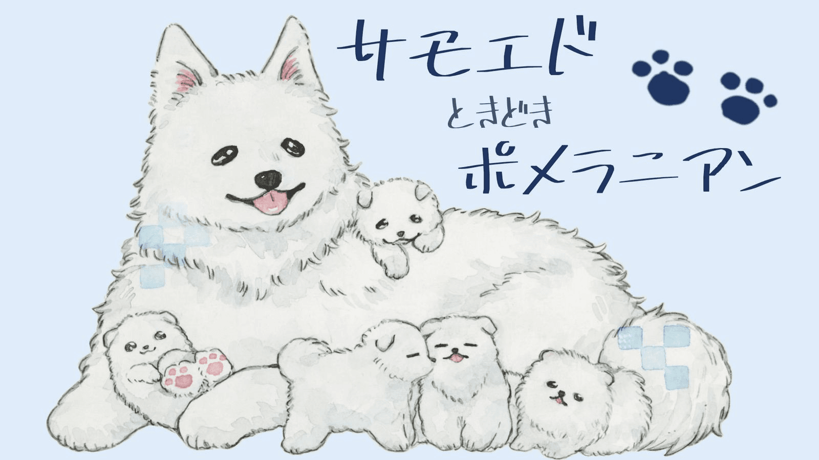 サモエドときどきポメラニアン