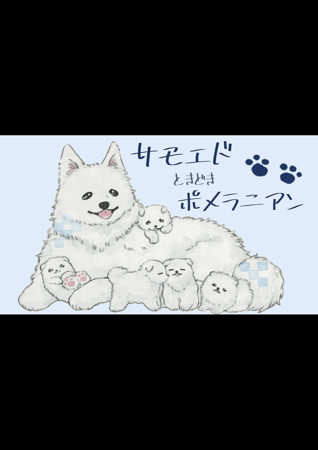 サモエドときどきポメラニアン