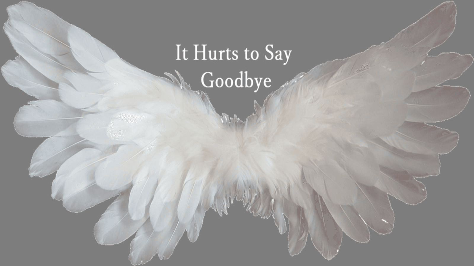 さよならを言うのは辛い〜It Hurts to Say Goodbye〜