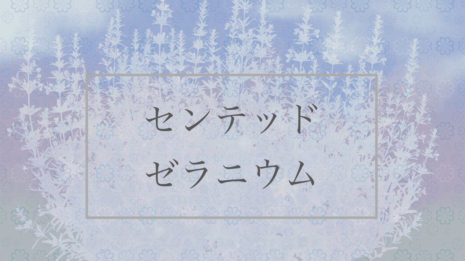 センテッド・ゼラニウム