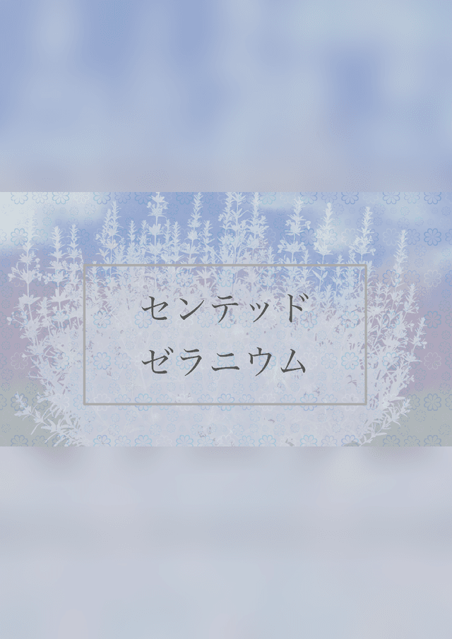 センテッド・ゼラニウム