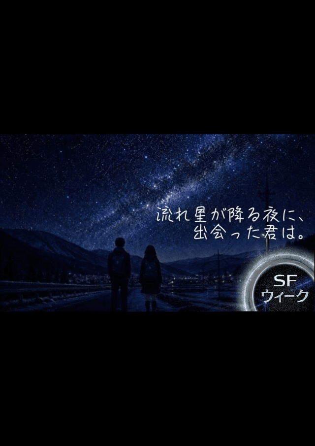 流れ星の降る夜に、出会った君は。